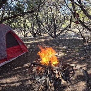 Meet your Posher, Big